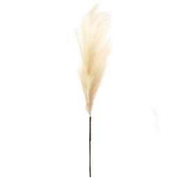 Τεχνητό Φυτό Pampas 00-00-6110-4 117/64cm Ecru Marhome Foam