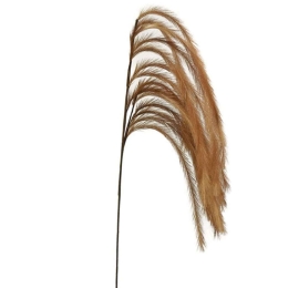 Τεχνητό Φυτό Πούπουλο 00-00-6111-2 146/92cm Brown Marhome Foam