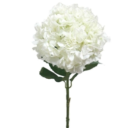 Τεχνητό Λουλούδι 00-00-14550 Cream Φ28x90cm Ecru Marhome Συνθετικό Υλικό