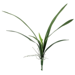 Τεχνητό Φυτό Ορχιδέα Faberi 00-00-18734 62cm Green Marhome Συνθετικό Υλικό
