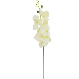 Τεχνητό Λουλούδι Ορχιδέα 00-00-14519-2 90cm Champagne Marhome Συνθετικό Υλικό