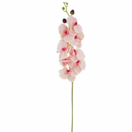 Τεχνητό Λουλούδι Ορχιδέα 00-00-14519-4 90cm Pink Marhome Συνθετικό Υλικό