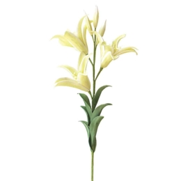 Τεχνητό Λουλούδι Λίλιουμ 00-00-1591-1 97cm Ecru Marhome Foam