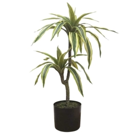 Τεχνητό Φυτό Δράκαινα 04-00-22067 63cm Multi-Green Marhome Πλαστικό