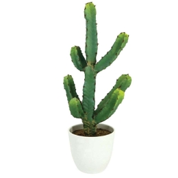 Τεχνητός Κάκτος Σε Κασπώ 04-00-22096 22x20x48cm White-Green Marhome Συνθετικό Υλικό
