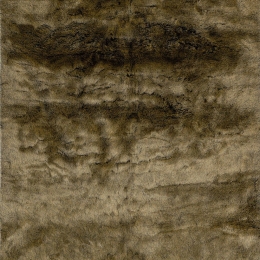 Χαλί Samba Sab 495 Taupe Obsession 120X170cm