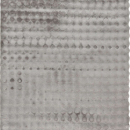 Χαλί Aspen 485 Silver Obsession 120X170cm