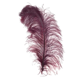 Φτερό Διακοσμητικό 3-70-355-0031 60/95cm Fuchsia Inart Πολυέστερ