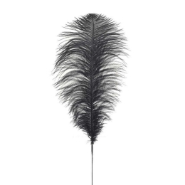 Φτερό Διακοσμητικό 3-70-355-0032 40/70cm Black Inart Πολυέστερ