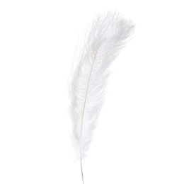 Φτερό Διακοσμητικό 3-70-355-0040 40/80cm White Inart Πολυέστερ