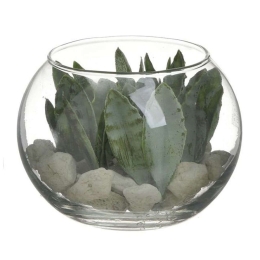 Διακοσμητικό Φυτό Σε Γλάστρα 3-85-483-0012 Φ15x11cm Green Inart Πλαστικό