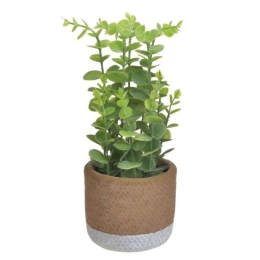 Διακοσμητικό Φυτό Σε Γλάστρα Pl 3-85-457-0028 Φ11x27cm Green Inart Πλαστικό