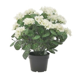 Διακοσμητικό Φυτό Σε Γλάστρα Pl 3-85-457-0013 Υ48cm White-Green Inart Πλαστικό