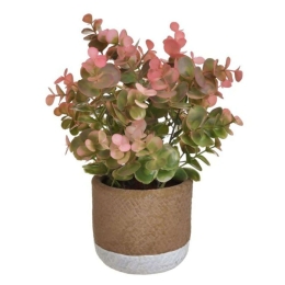 Διακοσμητικό Φυτό Σε Γλάστρα Pl 3-85-457-0027 Φ11x27cm Green-Pink Inart Πλαστικό