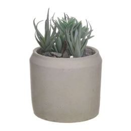 Διακοσμητικό Φυτό Σε Γλάστρα 3-85-483-0018 Φ11x10cm Green Inart Πλαστικό
