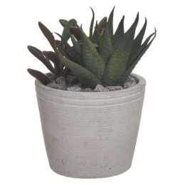 Διακοσμητικό Φυτό Σε Γλάστρα 3-85-483-0019 Φ12x14cm Green Inart Πλαστικό