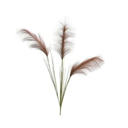 Διακοσμητικό Κλαδί-Pampas 3-85-397-0049 87cm Brown Inart