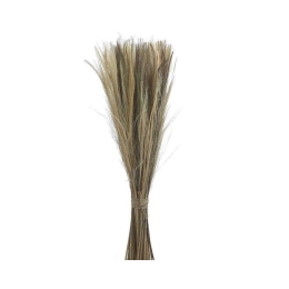 Μπουκέτο Αποξηραμένα Κλαδιά 3-85-483-0003 100cm Natural Inart