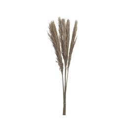 Μπουκέτο Αποξηραμένα Κλαδιά 3-85-483-0005 90cm Natural Inart