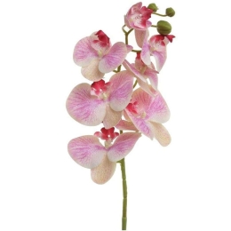 Διακοσμητικό Κλαδί-Λουλούδι 3-85-505-0094 77cm Green-Pink Inart Πλαστικό