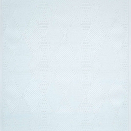 Χαλί Colton D820A2J White Ezzo 80X150cm