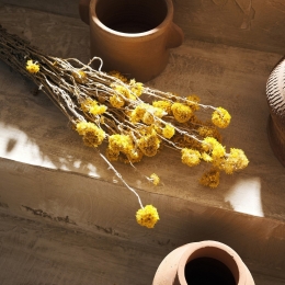 Λουλούδια Αποξηραμένα Sanfordi 120 45cm 40gr Yellow Gofis Home