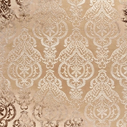 Χαλί Vintage 23014-763 Brown Merinos 200X290cm