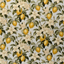 Χαλί Capri 00921-119 Yellow-White Merinos 75X150cm
