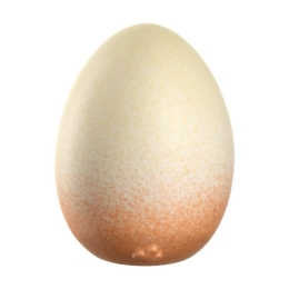 Διακοσμητικό Αυγό Luminosa 029936L 10cm Beige-Orange Leonardo