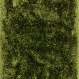 Χαλί Plush Green Asiatic London 160X230cm