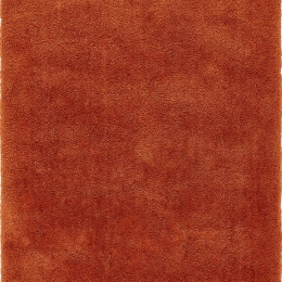 Χαλί Lulu Soft Touch Spice Asiatic London 200X290cm