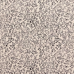 Χαλί Muse MU11 Spotty Black Asiatic London 200X290cm