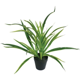 Τεχνητό Φυτό Σε Γλαστράκι Αράχνη 04-00-16058 43cm Green Marhome Πλαστικό