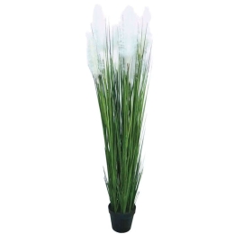 Τεχνητό Φυτό Pampas 04-00-24165 150cm Ecru-Green Marhome Συνθετικό Υλικό