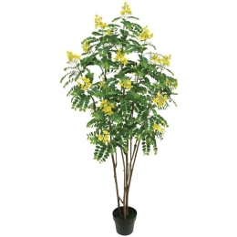 Τεχνητό Δέντρο Κάσσια 04-00-24169 180cm Multi-Yellow Marhome Πλαστικό
