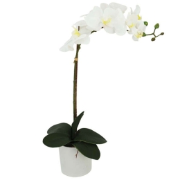 Τεχνητό Φυτό Σε Κασπώ Ορχιδέα 04-00-21029-1 47cm White Marhome Πλαστικό