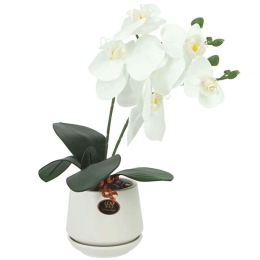 Τεχνητή Ορχιδέα Σε Κασπώ 00-00-23333-1 10x36cm Multi-White Marhome Κεραμικό,Πλαστικό