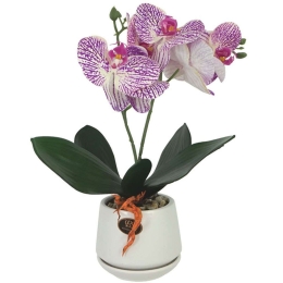 Τεχνητή Ορχιδέα Σε Κασπώ 00-00-23333-2 10x36cm Multi-Purple Marhome Κεραμικό,Πλαστικό