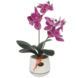 Τεχνητή Ορχιδέα Σε Κασπώ 00-00-23333-3 10x36cm Multi-Fuchsia Marhome Κεραμικό,Πλαστικό