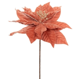 Κλαδί Πικ Αλεξανδρινό 86317 30x50cm Coral