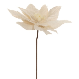 Κλαδί Πικ Αλεξανδρινό 86319 30x50cm White