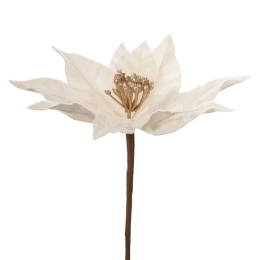 Κλαδί Πικ Αλεξανδρινό 86332 23x35cm Cream