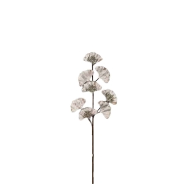 Λουλούδι - Κλαδί 030295 55cm Beige