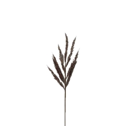 Λουλούδι - Κλαδί 030292 71cm Brown