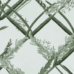 Ταπετσαρία Ornamental Reed WP30162 Green MindTheGap
