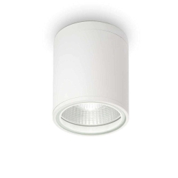 Φωτιστικό Οροφής-Σποτ Gun 122663 11x11,5cm 1xGU10 28W IP44 White Ideal Lux