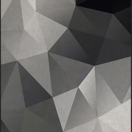 Χαλί CRPT-103 Black-White Conceptum Hypnose 120X180cm