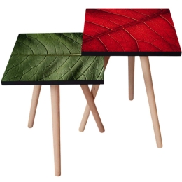 Τραπεζάκια Βοηθητικά (Σετ 2Τμχ) 481LNA2206 35x35x47/42cm Green-Red