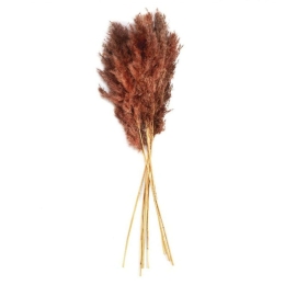 Διακοσμητικά Λουλούδια Pampas Red (Σετ 6Τμχ) LBTAH-AX71135 70cm Terracotta Andrea House