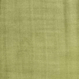Χαλί Naomi Avocado Light Green Carpet Couture 300X400cm